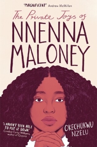 Cover of The Private Joys of Nnenna Maloney