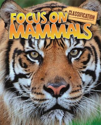 Book cover for Classification: Focus on: Mammals