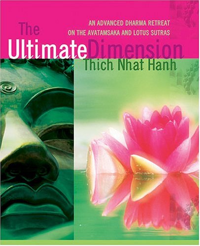 Book cover for The Ultimate Dimension