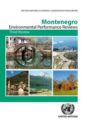 Cover of Montenegro