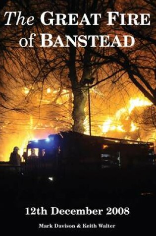 Cover of The Great Fire of Banstead