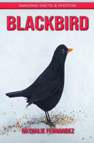 Cover of Blackbird