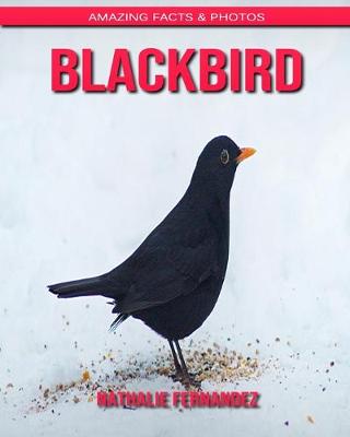 Book cover for Blackbird