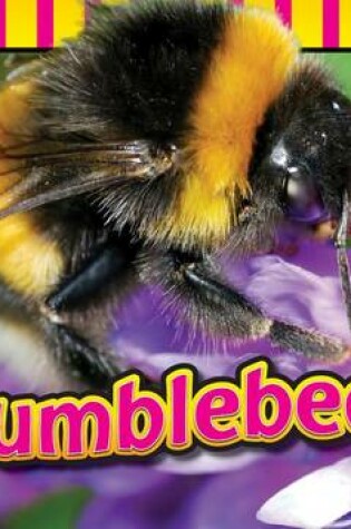 Cover of Bumblebees