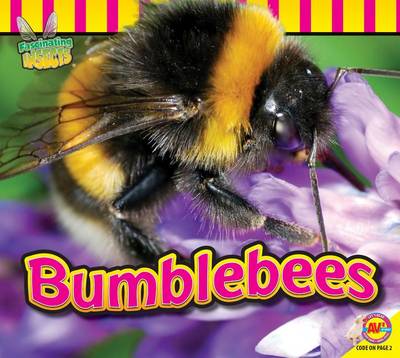 Book cover for Bumblebees