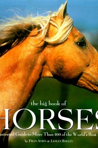 Cover of The Big Book of Horses