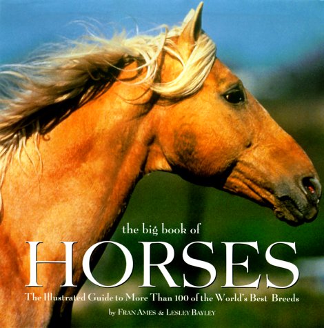 Book cover for The Big Book of Horses