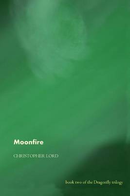 Book cover for Moonfire
