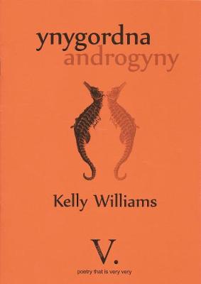 Book cover for Ynygordna