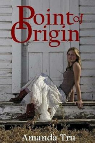 Cover of Point of Origin