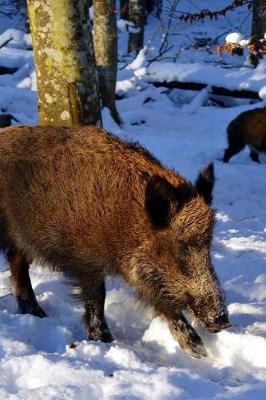 Book cover for Wild Boar in the Snow Journal