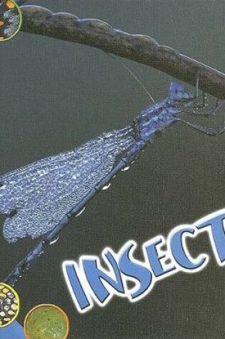 Cover of Insects