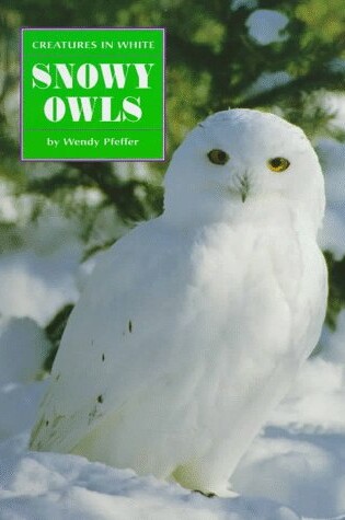 Cover of Snowy Owls