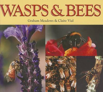 Cover of Wasps & Bees