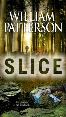 Book cover for Slice