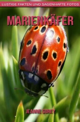 Cover of Marienkäfer