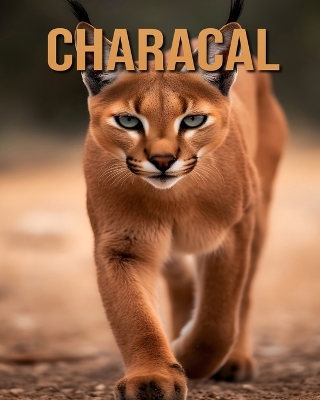 Book cover for Characal