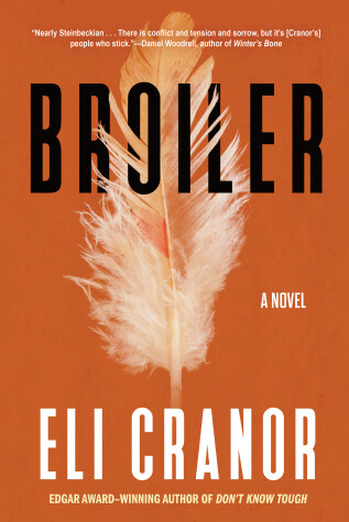 Book cover for Broiler