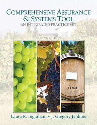 Book cover for Comprehensive Assurance & Systems Tool (CAST)-Integrated Practice Set