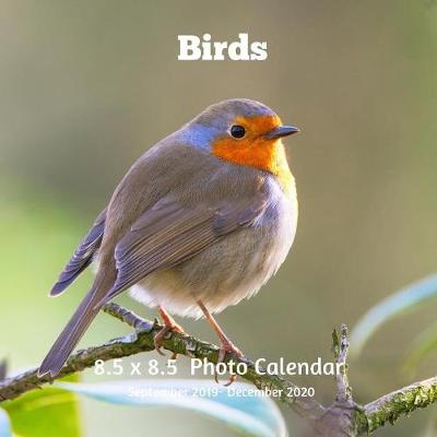 Book cover for Birds 8.5 X 8.5 Calendar September 2019 -December 2020