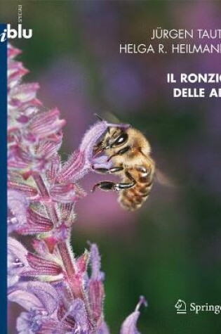 Cover of Il Ronzio Delle API