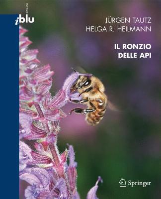 Book cover for Il Ronzio Delle API