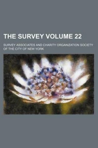 Cover of The Survey Volume 22