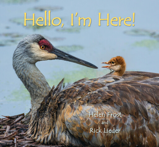 Book cover for Hello, I'm Here!