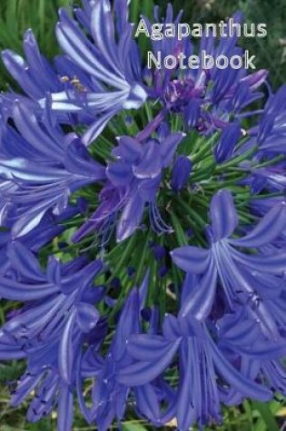 Cover of Agapanthus Notebook