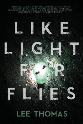 Book cover for Like Light for Flies