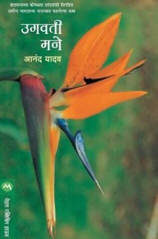 Cover of Ugvati Mane