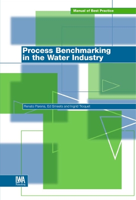 Cover of Process Benchmarking in the Water Industry