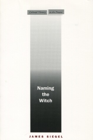 Cover of Naming the Witch