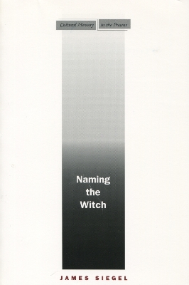 Book cover for Naming the Witch
