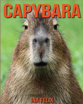 Book cover for Capybara