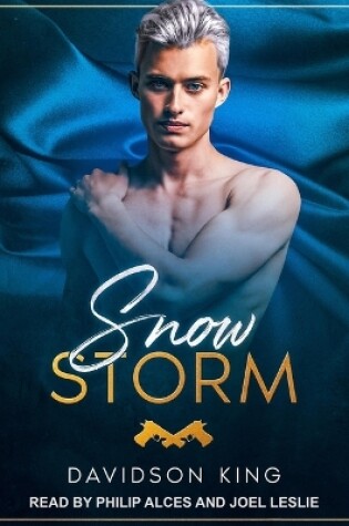 Cover of Snow Storm