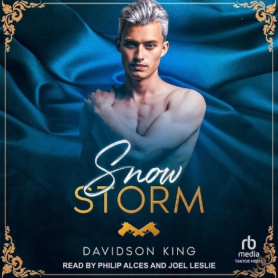 Cover of Snow Storm