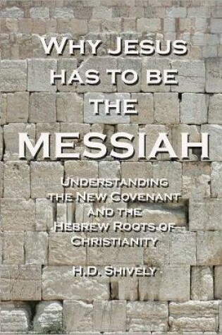 Cover of Why Jesus has to be the Messiah
