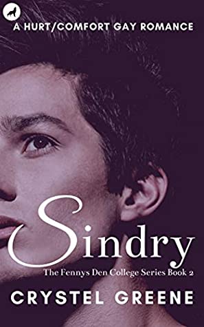 Book cover for Sindry