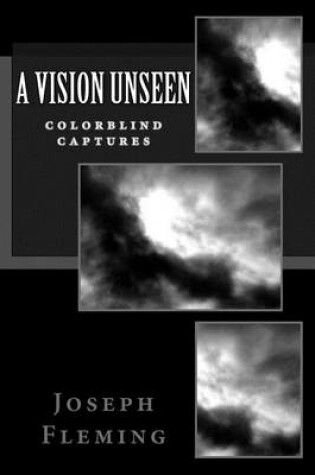 Cover of A Vision Unseen