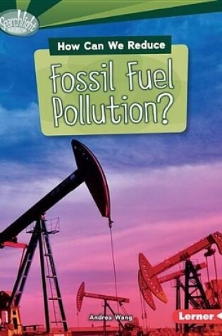 Cover of How Can We Reduce Fossil Fuel Pollution?