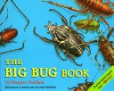 Book cover for Big Bug Book