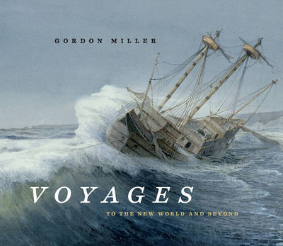 Book cover for Voyages