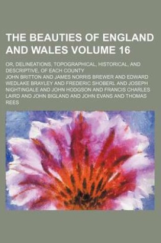 Cover of The Beauties of England and Wales Volume 16; Or, Delineations, Topographical, Historical, and Descriptive, of Each County