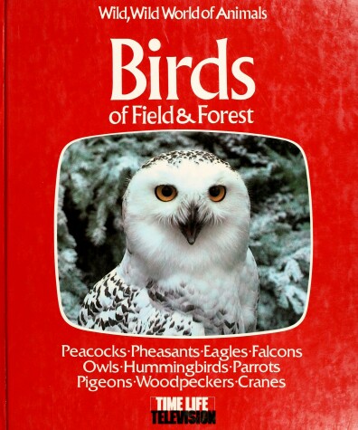 Cover of Birds of Field and Forest