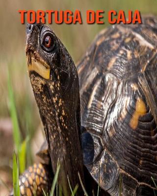 Book cover for Tortuga de caja