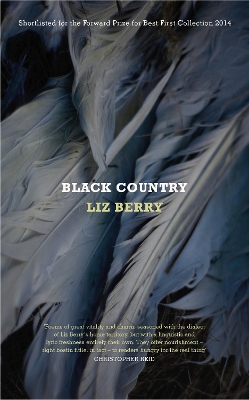 Book cover for Black Country