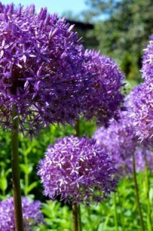 Cover of Violet Ornamental Onion Blooms Journal