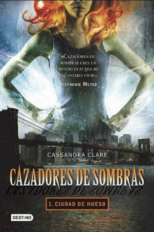 Cover of Cazadores de Sombras