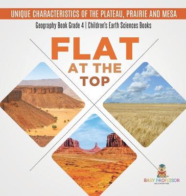 Cover of Flat at the Top